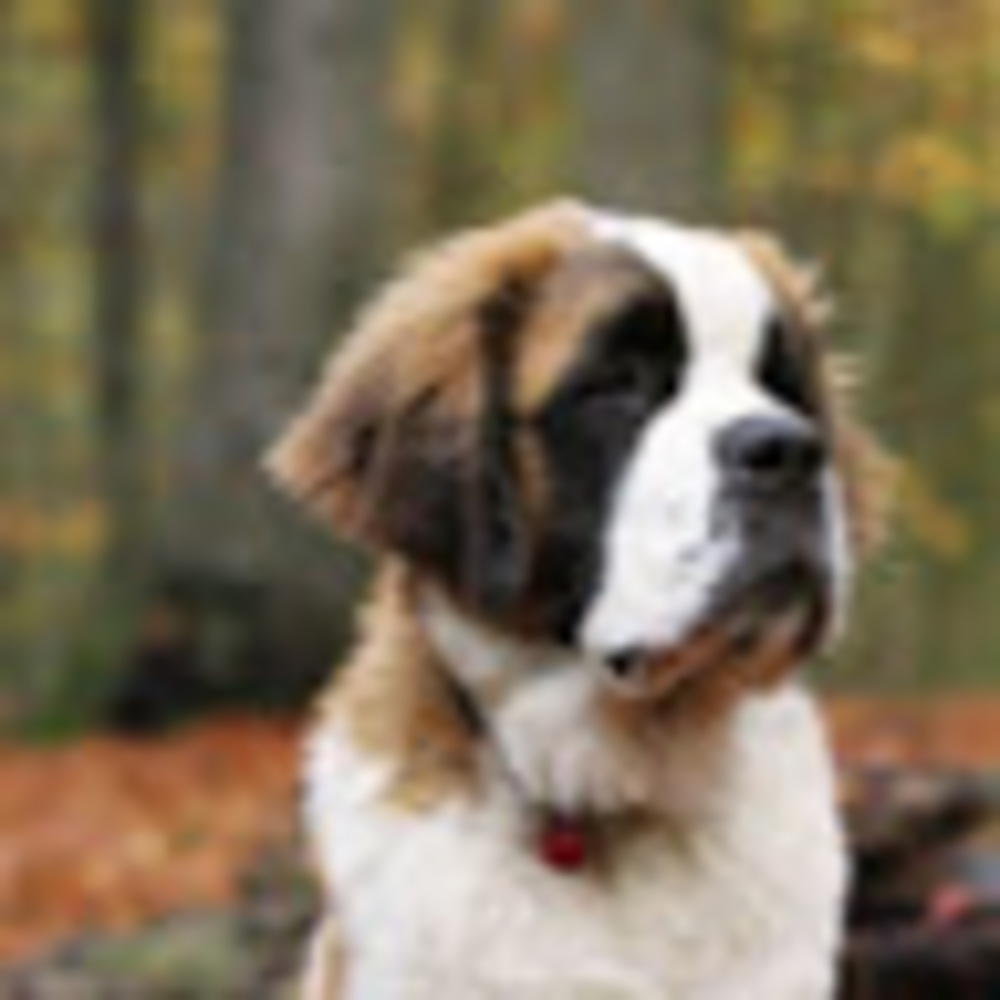 Meet your Posher, Gissele